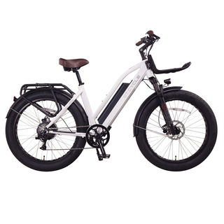 ET1000 Fat Tyre E Bike Hire