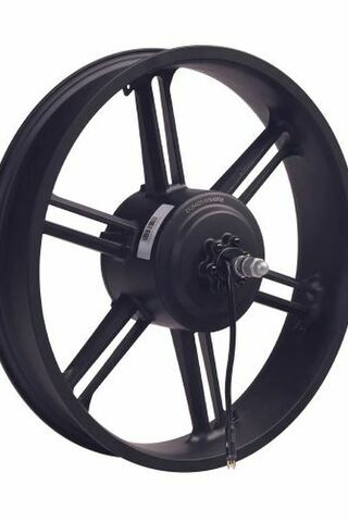 Rear Motor Wheel F20R